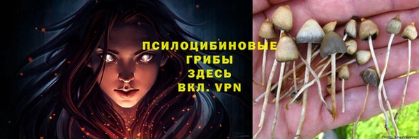 винт Куйбышев