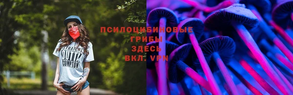 эйфоретик Липки
