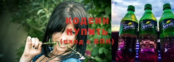 индика Лихославль