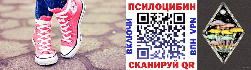 Галлюциногенные грибы Cubensis  darknet Telegram  Малгобек 